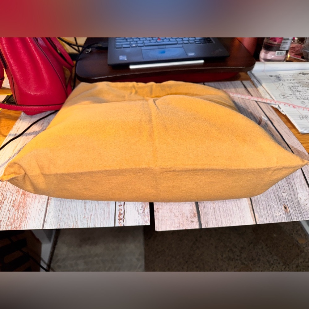Louis Vuitton tan dust bag for a large bag - EUC - Picture 8 of 14